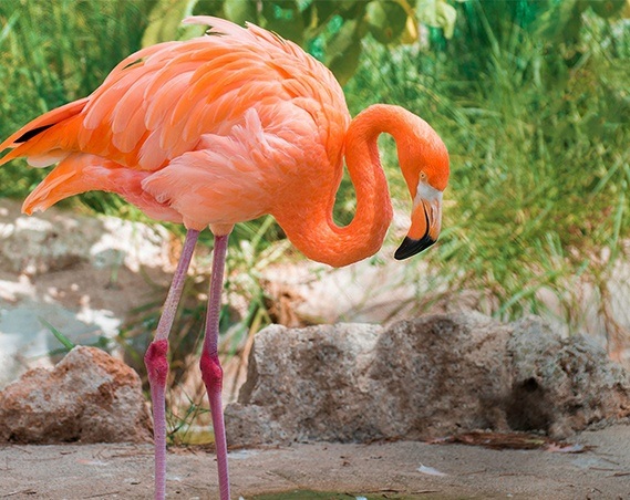 Aquazoo Friesland tickets kopen? Bespaar nu met hoge korting