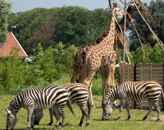 Dierenpark Blanckendaell