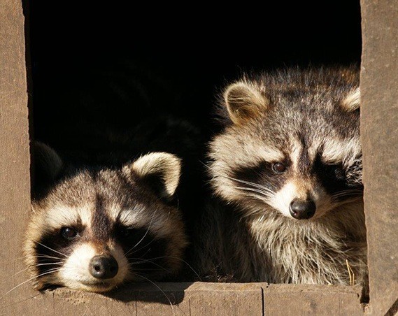 Kasteelpark Born entree met korting: profiteer van de beste aanbiedingen
