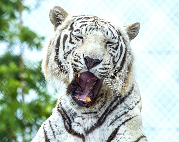 Mondo Verde Landgraaf