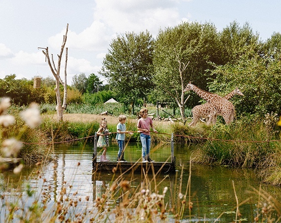 Zoo Parc Overloon kortingsacties en aanbiedingen op entree kaartjes