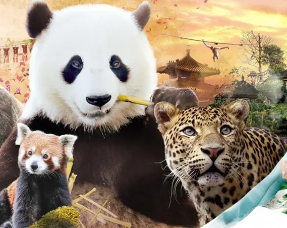 Pairi Daiza dagje uit met korting: bekijk alle aanbiedingen