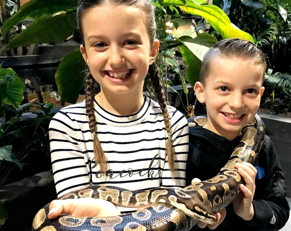 Reptielen Huis de Aarde bezoeken met gezin met hoogste korting