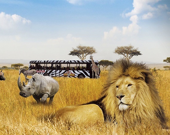 Safaripark Beekse Bergen aanbiedingen voor de hoogste korting