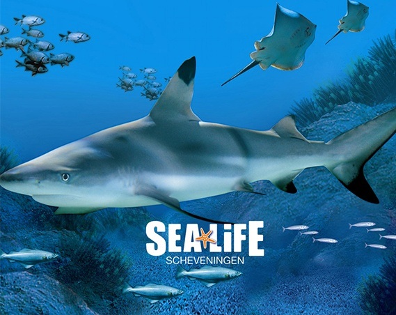 SEA LIFE Scheveningen