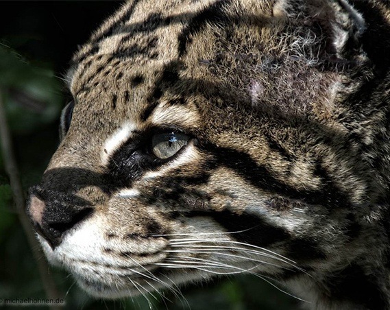 Tiergarten Mönchengladbach