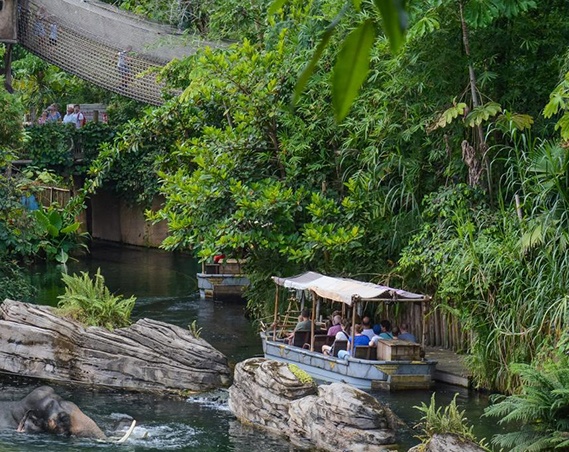 Wildlands Adventure Zoo Emmen aanbiedingen voor de hoogste korting