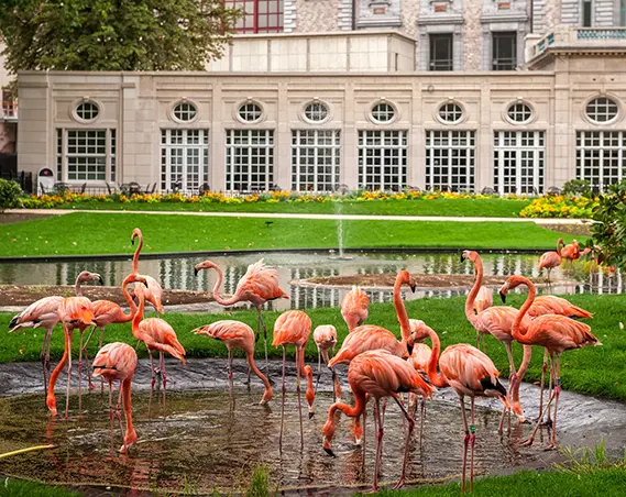 Zoo Antwerpen entree met korting: profiteer van de beste aanbiedingen