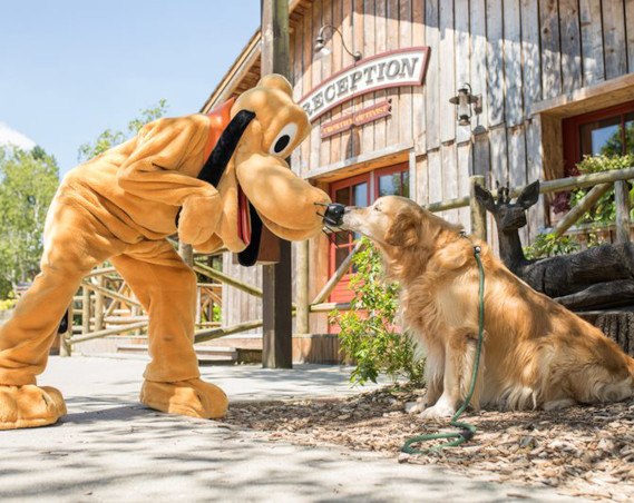 Ook honden zijn toegestaan op het bungalowpark bij Disneyland Parijs