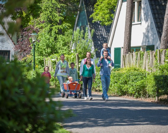 Het vakantiepark Roompot Bungalowpark de Katjeskelder is ideaal voor gezinnen