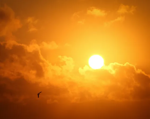 Zonnepanelen Ikea of toch van een andere aanbieder